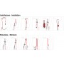 Camp - Fausse Fourche Herbol 120cm